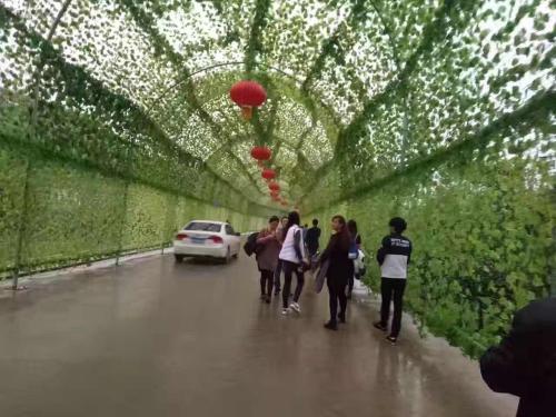 15212469851115.jpg 222.jpg